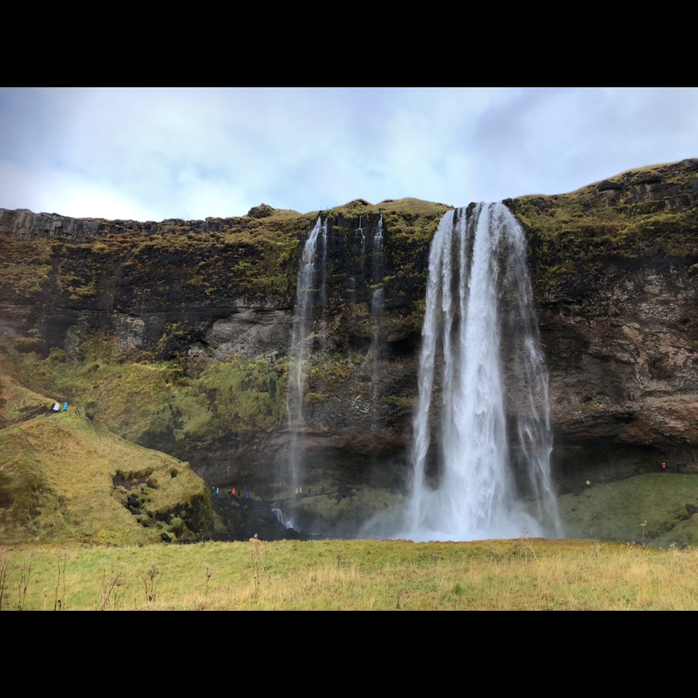 Meet your Posher, Diane
